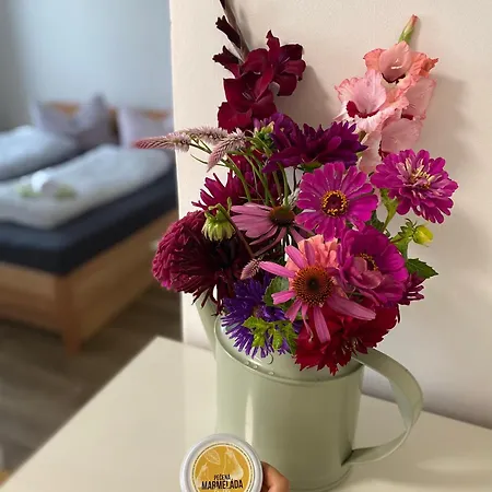 Apartmány Mikulčice Apartamento *