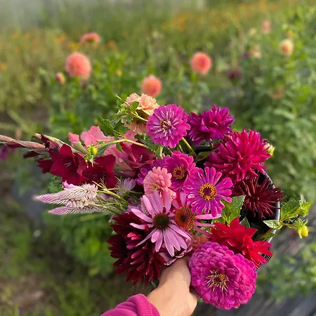 Apartmany Mikulcice * Mikulčice