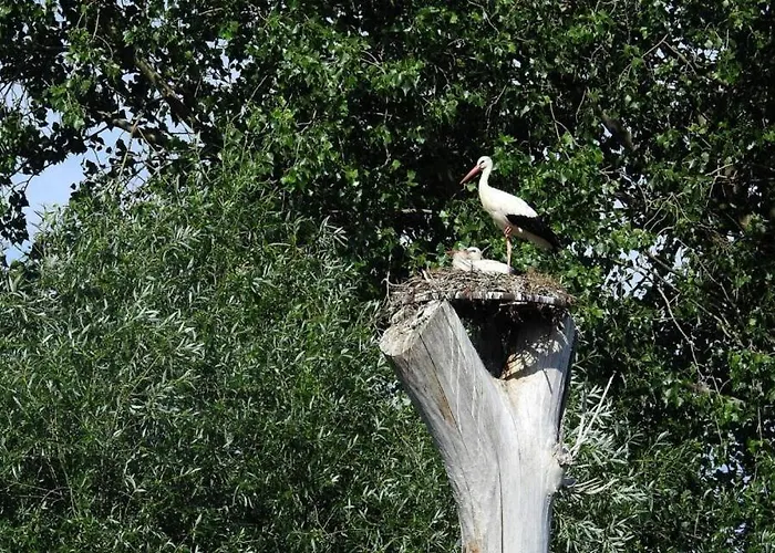 Apartmány Mikulčice