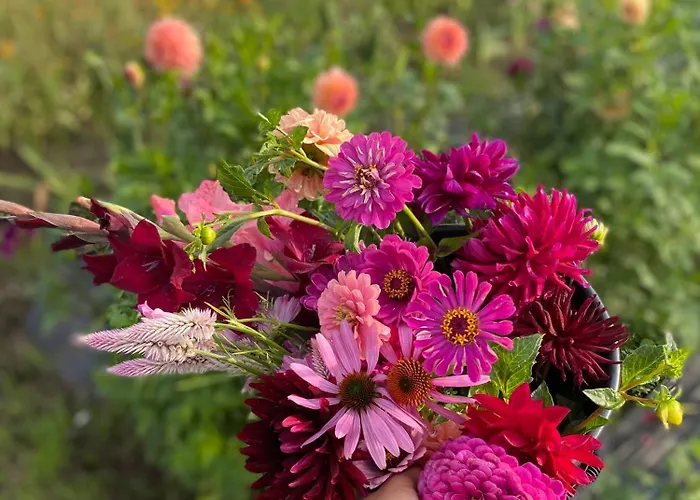 Apartmány Mikulčice * Mikulčice