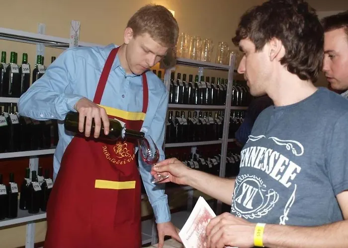 Apartmány Mikulčice *