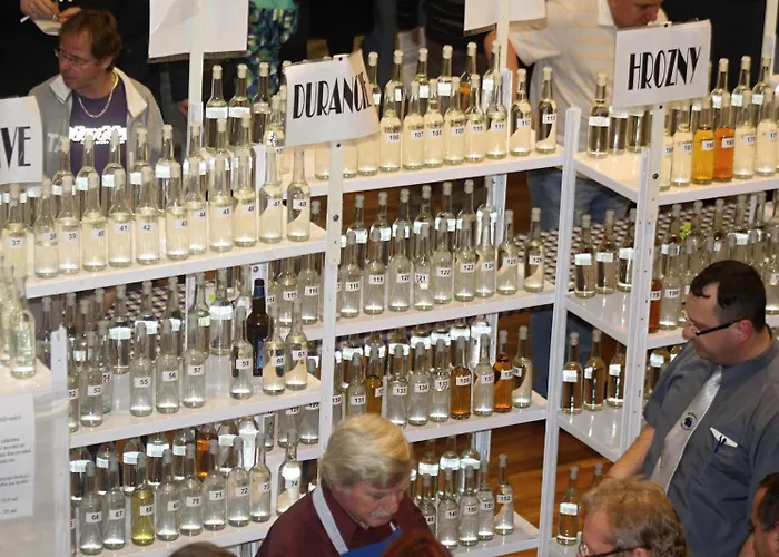 Apartmany Mikulcice Lägenhet